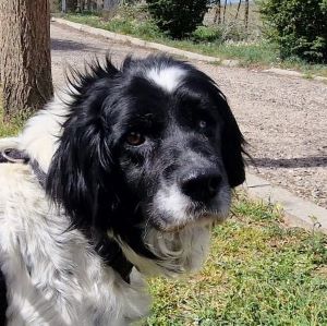 multimedia-foto83747-131-1