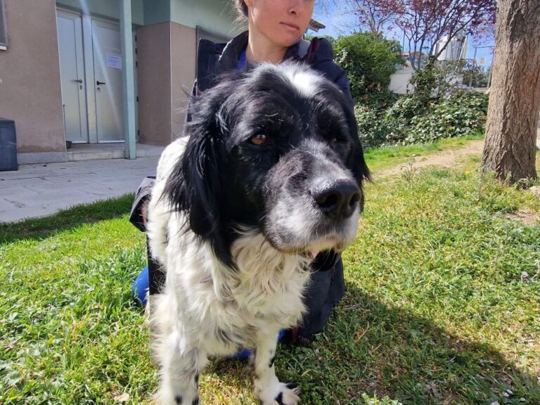 multimedia-foto83748-131-1