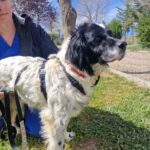 multimedia-foto83749-131-1