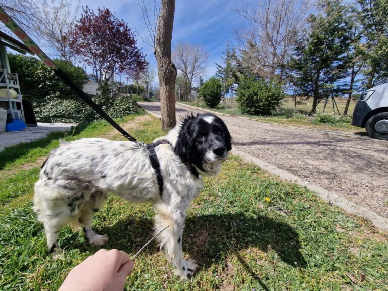 multimedia-foto83750-131-1