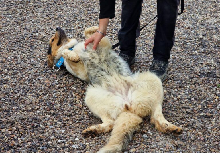 multimedia-foto83751-416-1