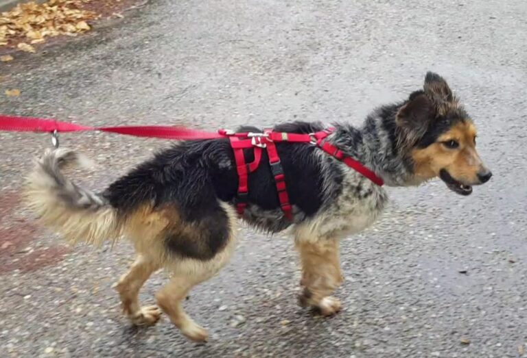 multimedia-foto83752-416-1