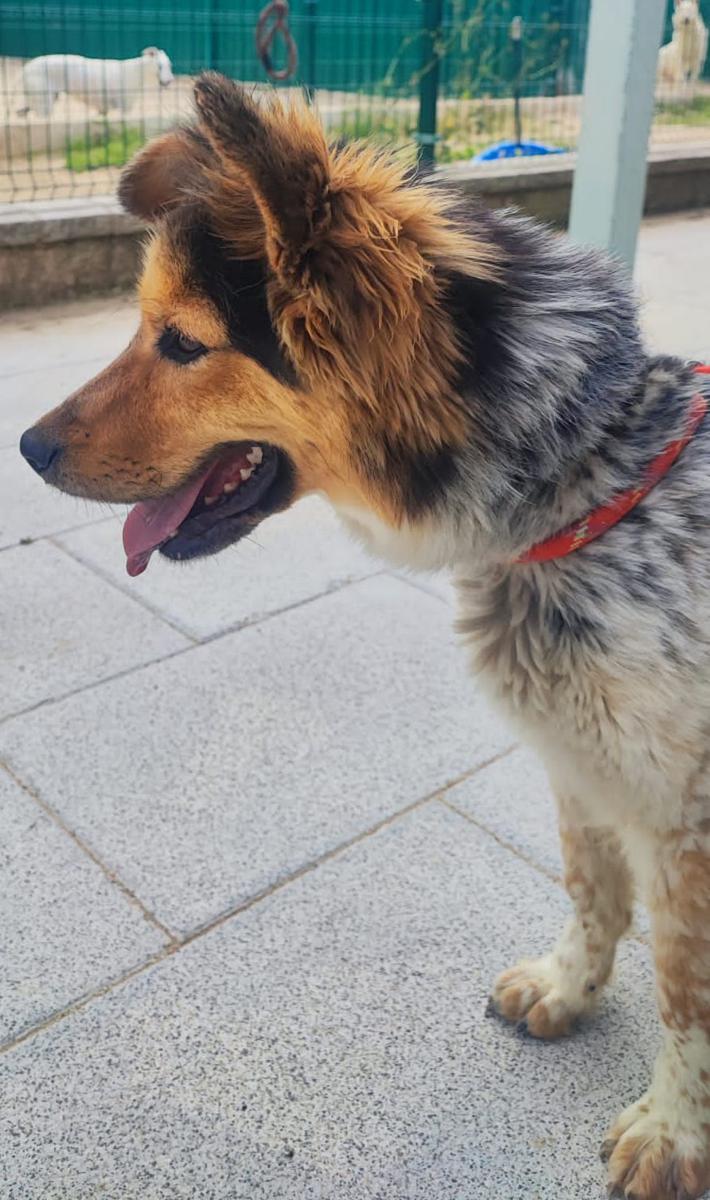 multimedia-foto83753-416-1