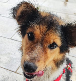 multimedia-foto83755-416-1