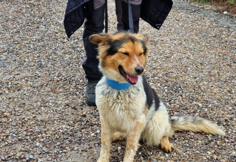 multimedia-foto83756-416-1