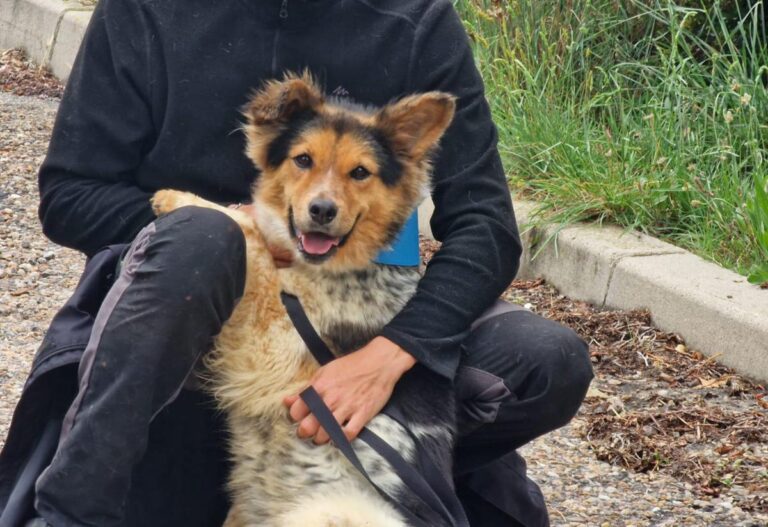 multimedia-foto83757-417-1