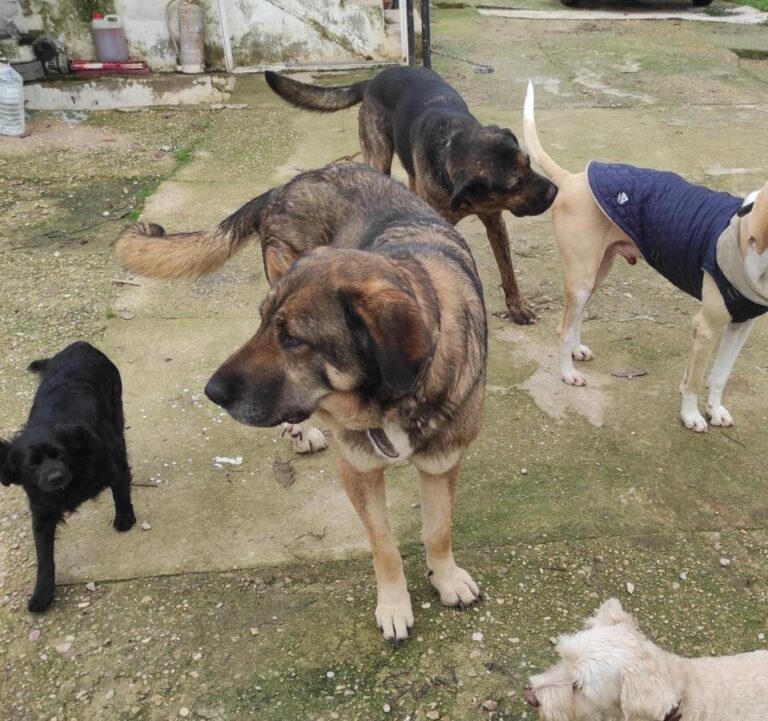 multimedia-foto83760-845-1