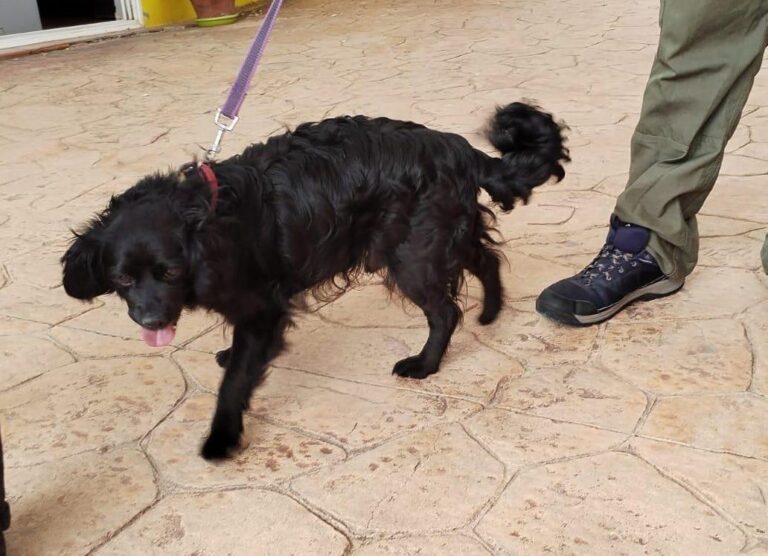 multimedia-foto83761-845-1