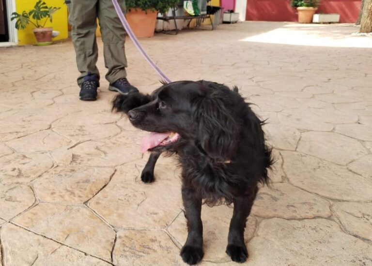 multimedia-foto83762-845-1