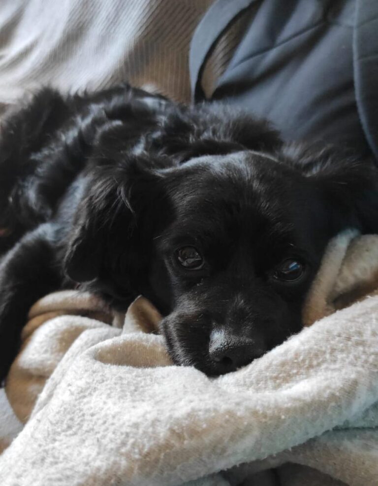 multimedia-foto83763-845-1