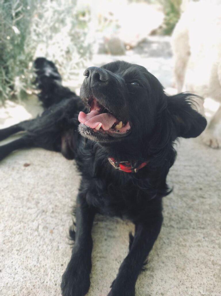 multimedia-foto83764-846-1