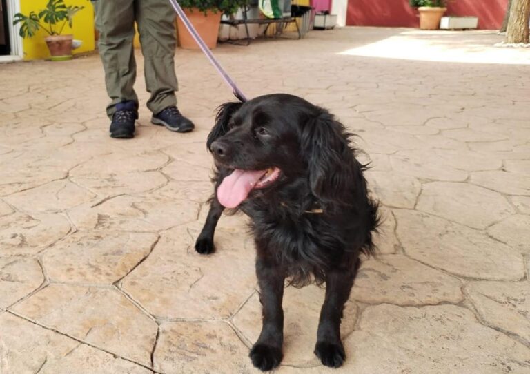 multimedia-foto83765-846-1