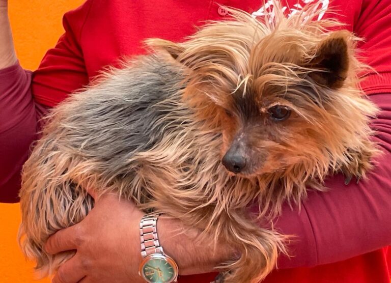 multimedia-foto83772-565-1