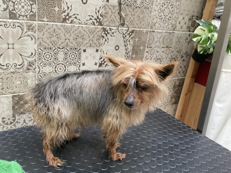 multimedia-foto83773-565-1