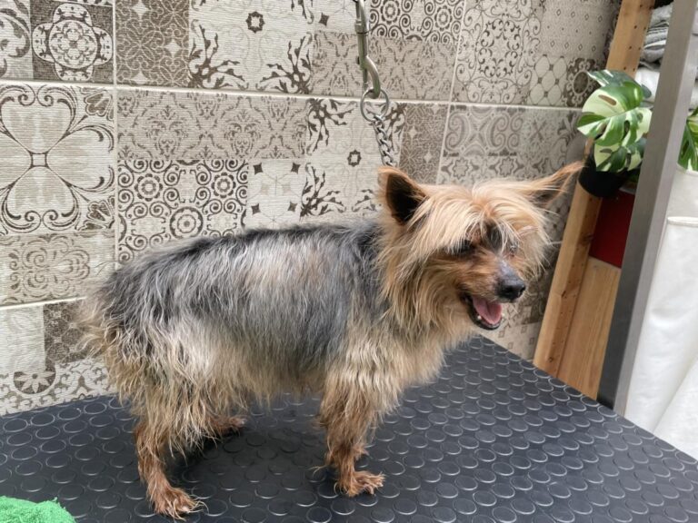 multimedia-foto83774-566-1