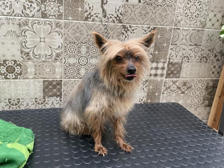 multimedia-foto83775-566-1