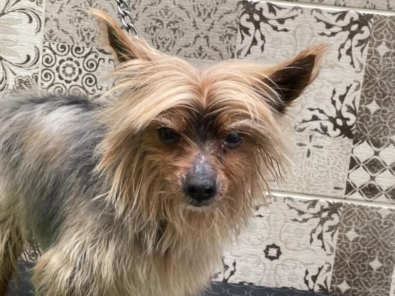 multimedia-foto83776-566-1