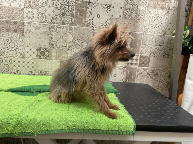 multimedia-foto83777-566-1