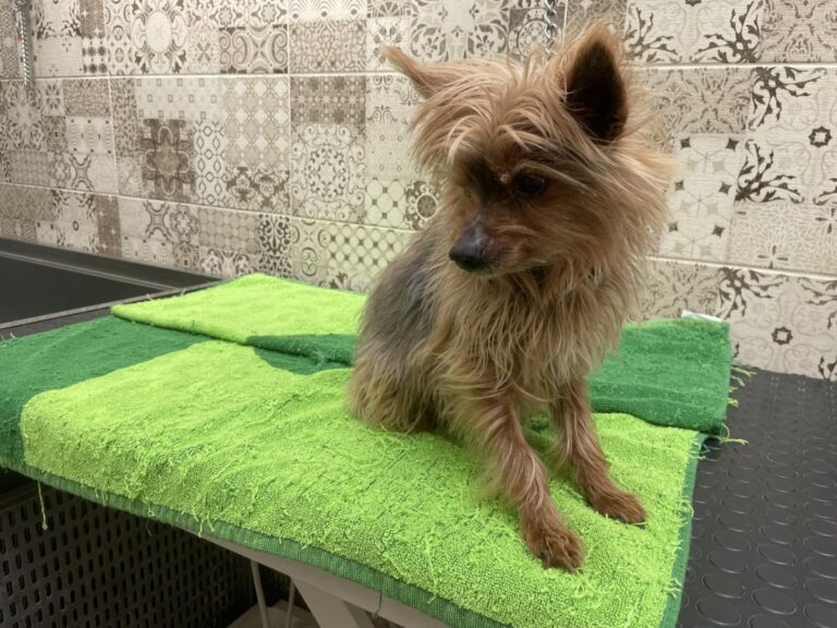 multimedia-foto83778-566-1