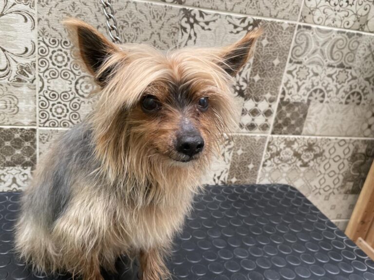 multimedia-foto83779-566-1