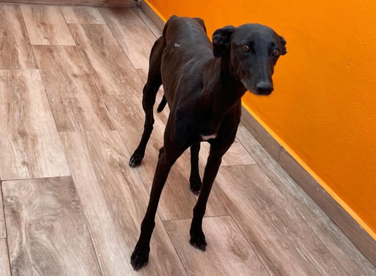 multimedia-foto83780-326-1