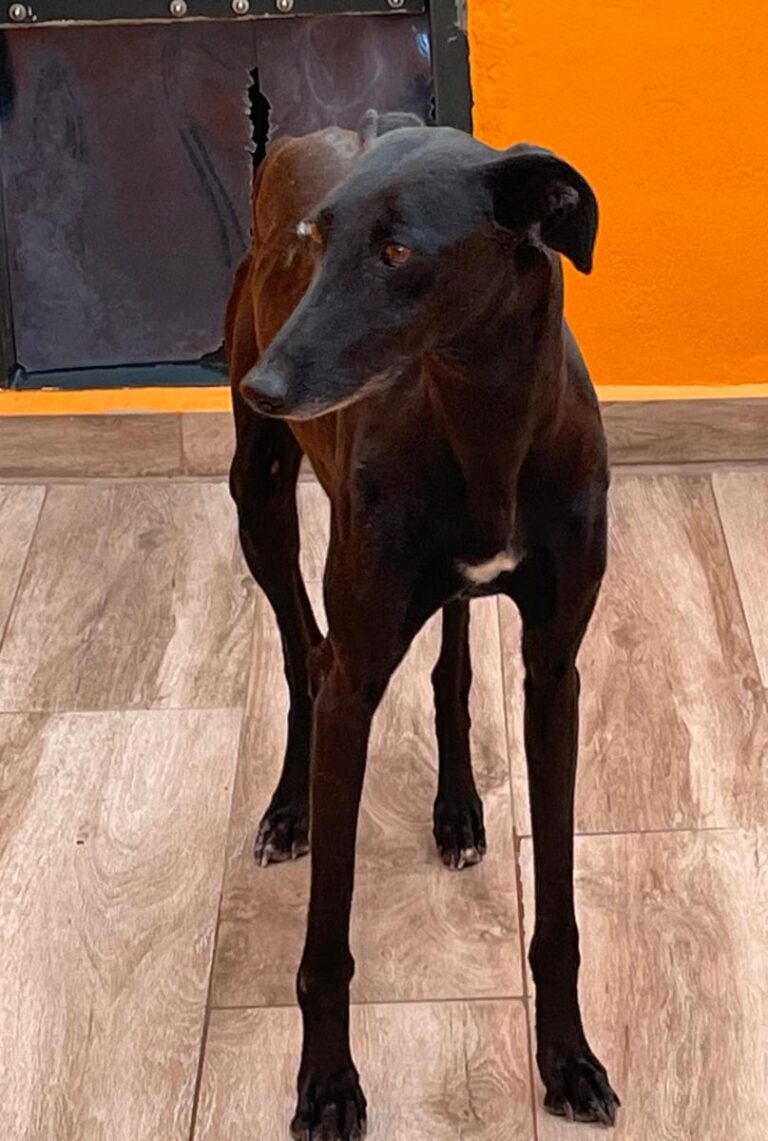 multimedia-foto83781-326-1