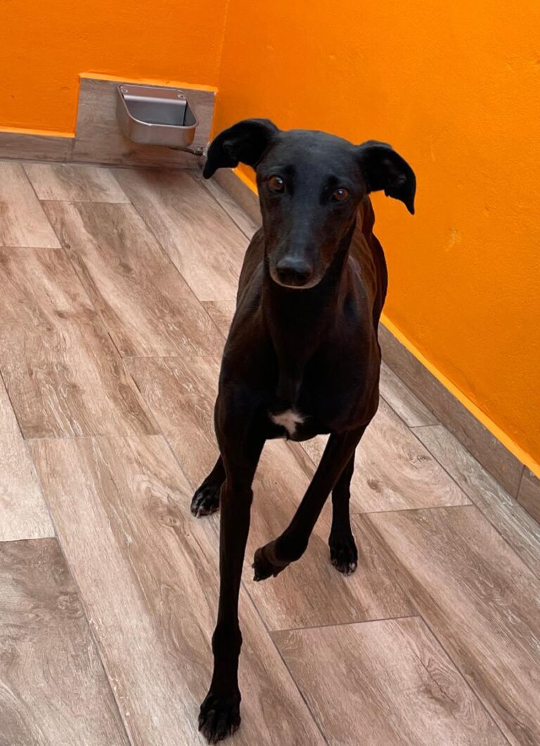 multimedia-foto83782-326-1