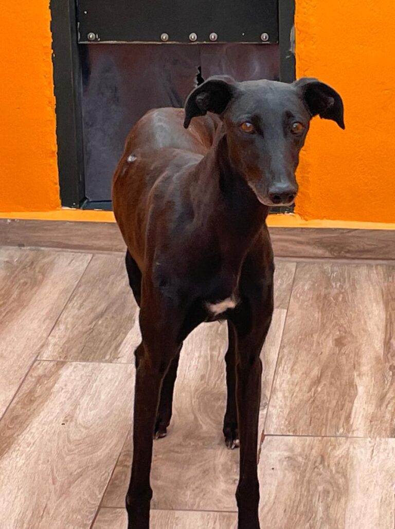 multimedia-foto83783-327-1