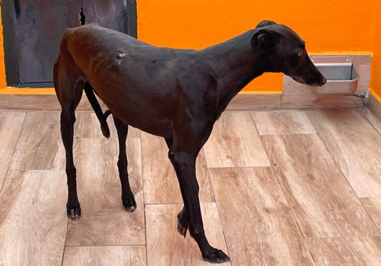 multimedia-foto83784-327-1