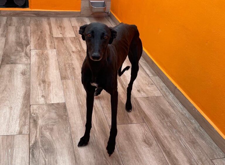 multimedia-foto83785-327-1