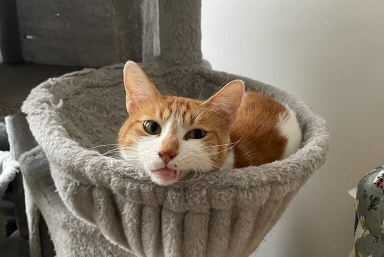 multimedia-foto83788-940-1