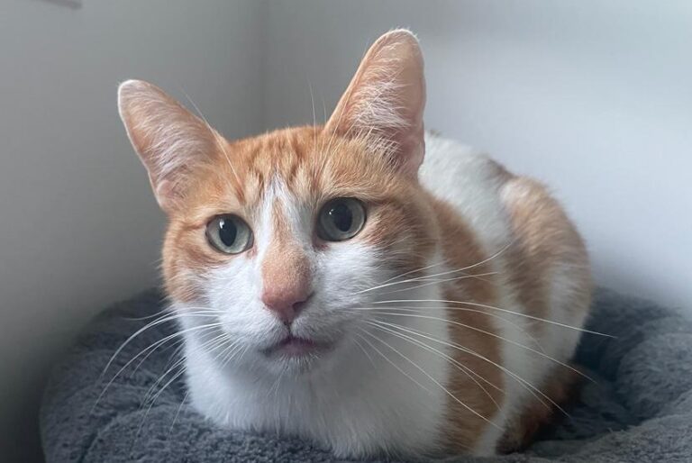 multimedia-foto83791-940-1