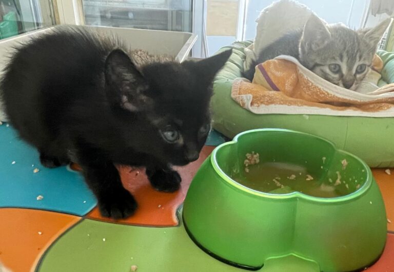 multimedia-foto83822-144-1