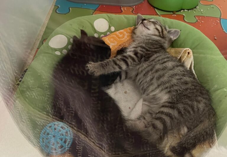 multimedia-foto83833-200-1