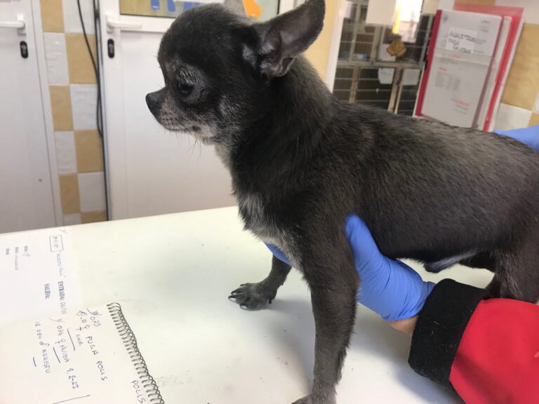 multimedia-foto83841-457-1