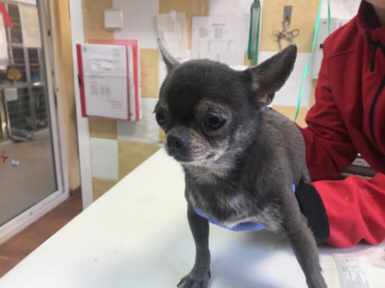 multimedia-foto83842-457-1