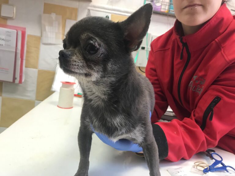 multimedia-foto83843-457-1