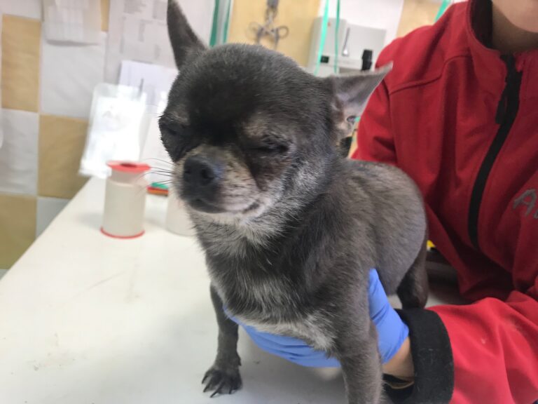 multimedia-foto83844-458-1