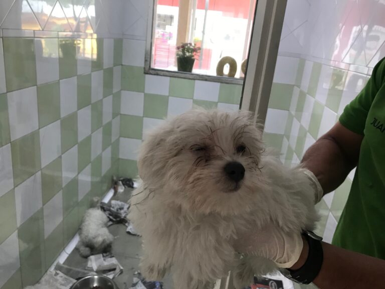 multimedia-foto83845-959-1