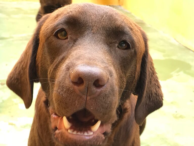 multimedia-foto83847-85-1