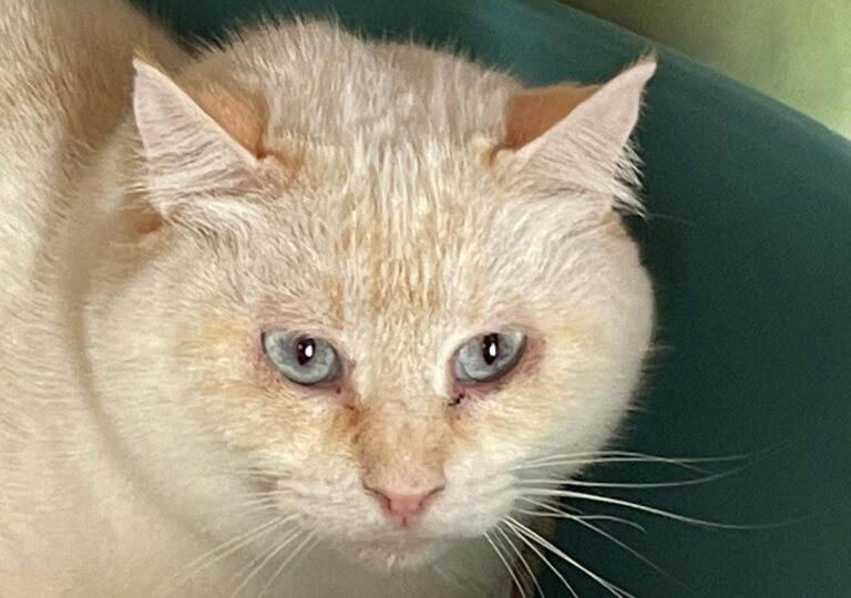 multimedia-foto83848-288-1