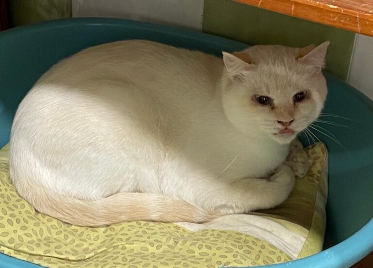 multimedia-foto83850-288-1