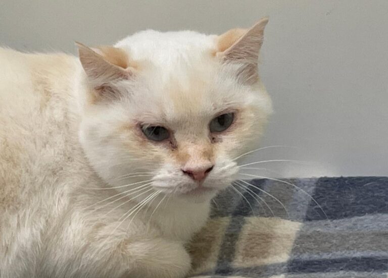 multimedia-foto83851-288-1