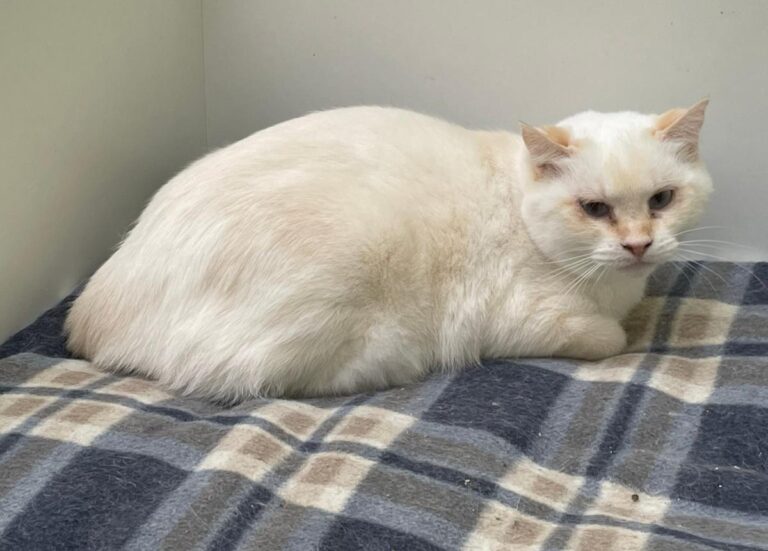 multimedia-foto83853-288-1