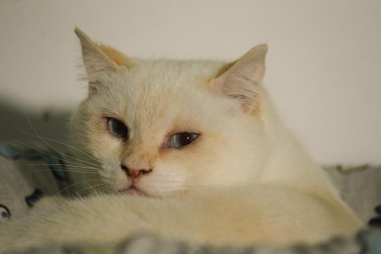 multimedia-foto83854-289-1