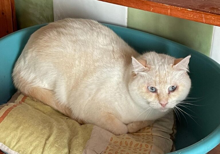 multimedia-foto83855-289-1