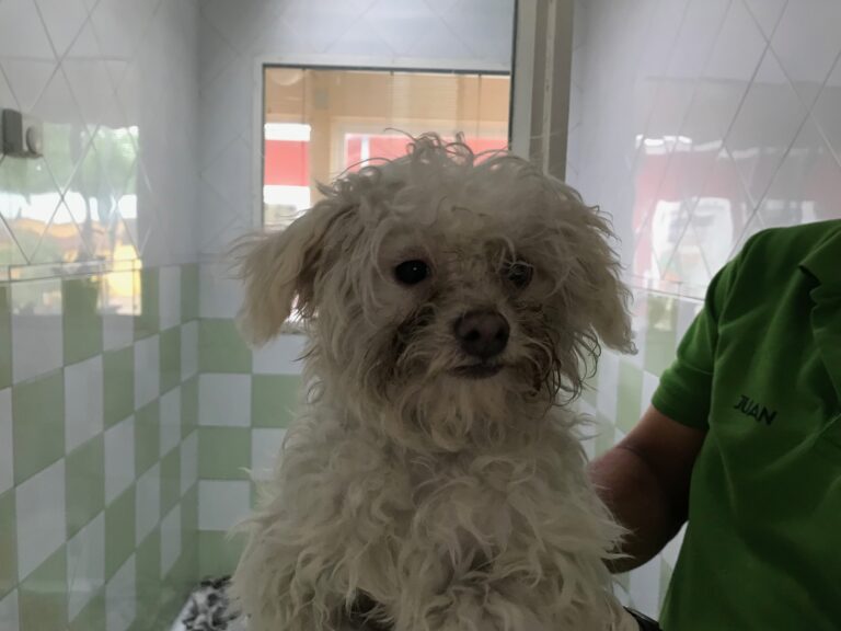 multimedia-foto83873-935-1