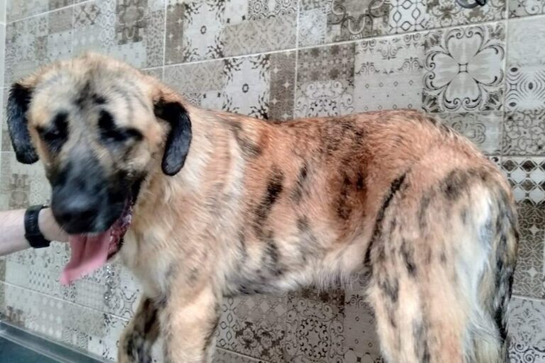 multimedia-foto83875-426-1