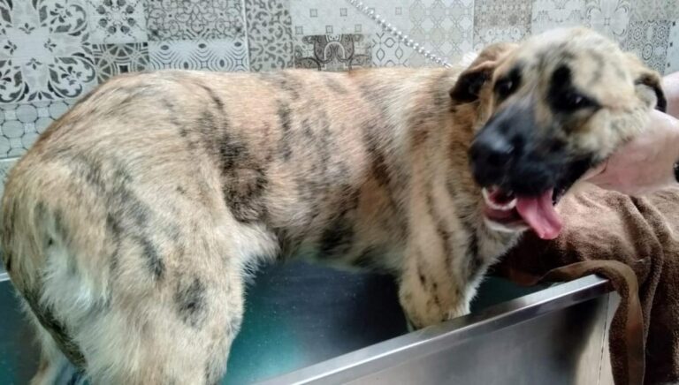 multimedia-foto83876-426-1