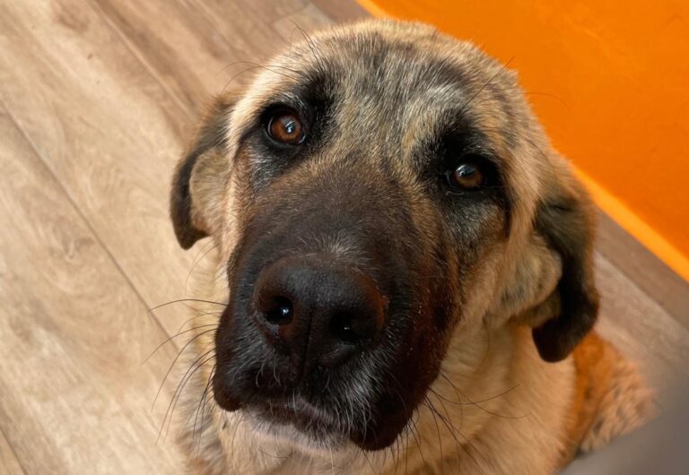 multimedia-foto83877-426-1